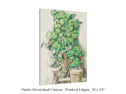 Geraniums | P176 - Single Art Prints - Piccolo Fiore Prints