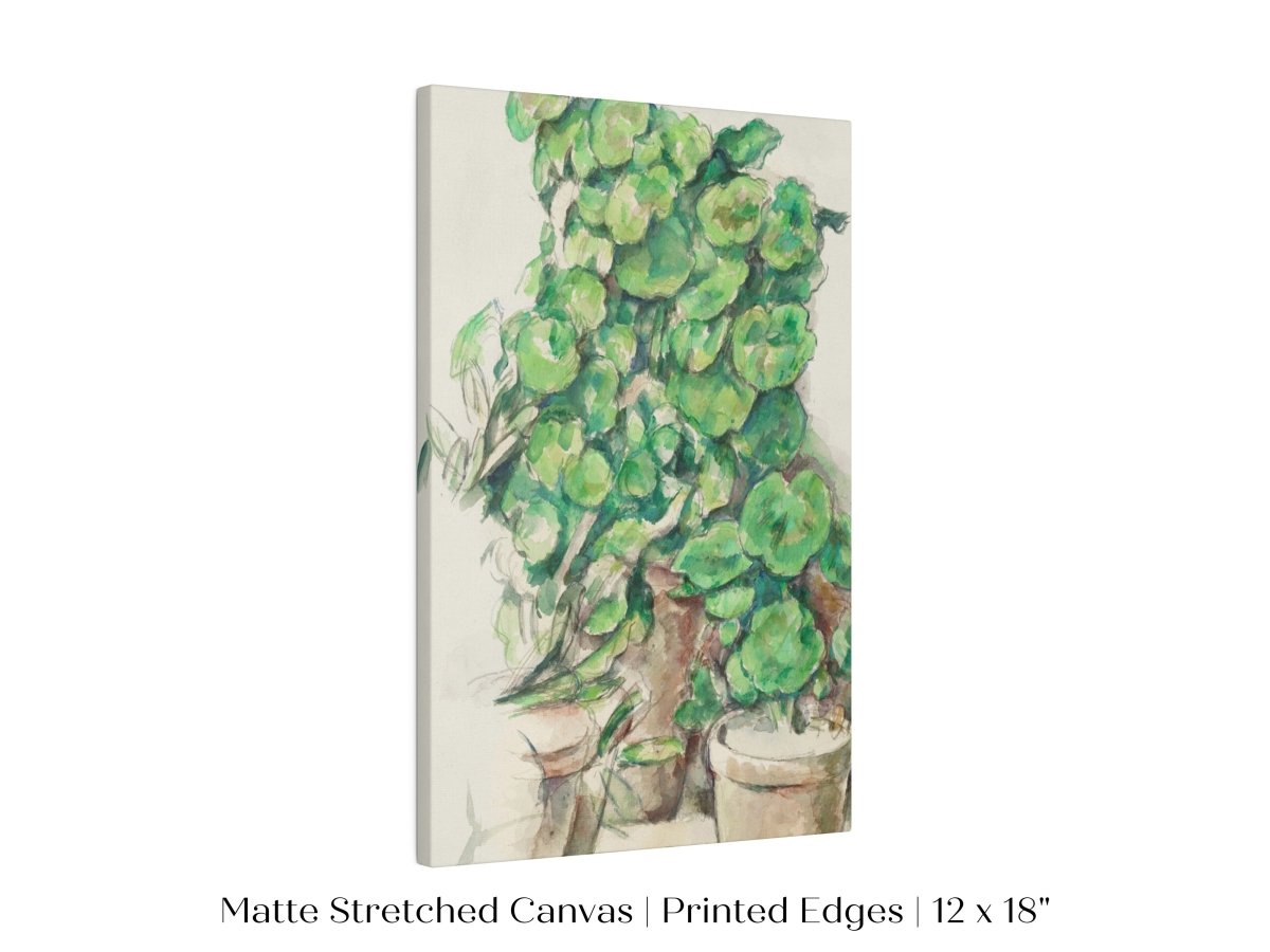 Geraniums | P176 - Single Art Prints - Piccolo Fiore Prints