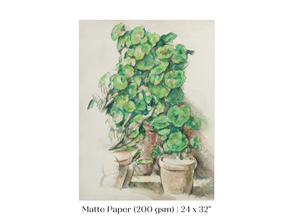 Geraniums | P176 - Single Art Prints - Piccolo Fiore Prints