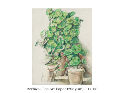 Geraniums | P176 - Single Art Prints - Piccolo Fiore Prints