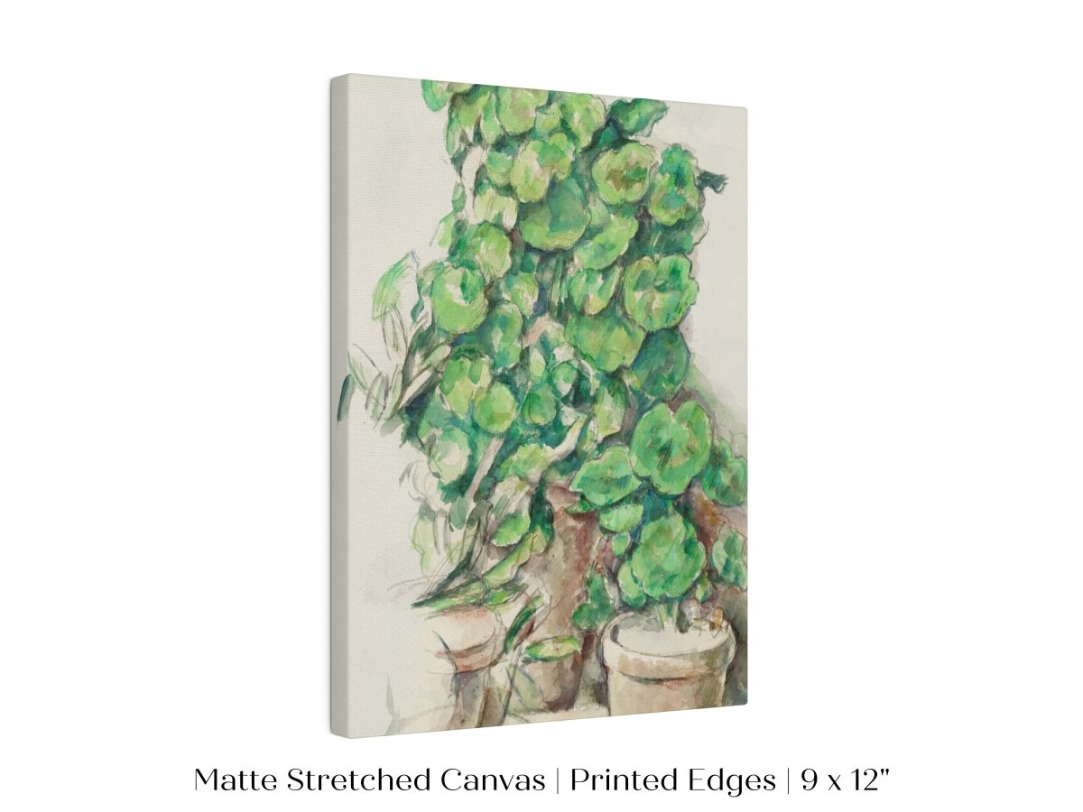 Geraniums | P176 - Single Art Prints - Piccolo Fiore Prints