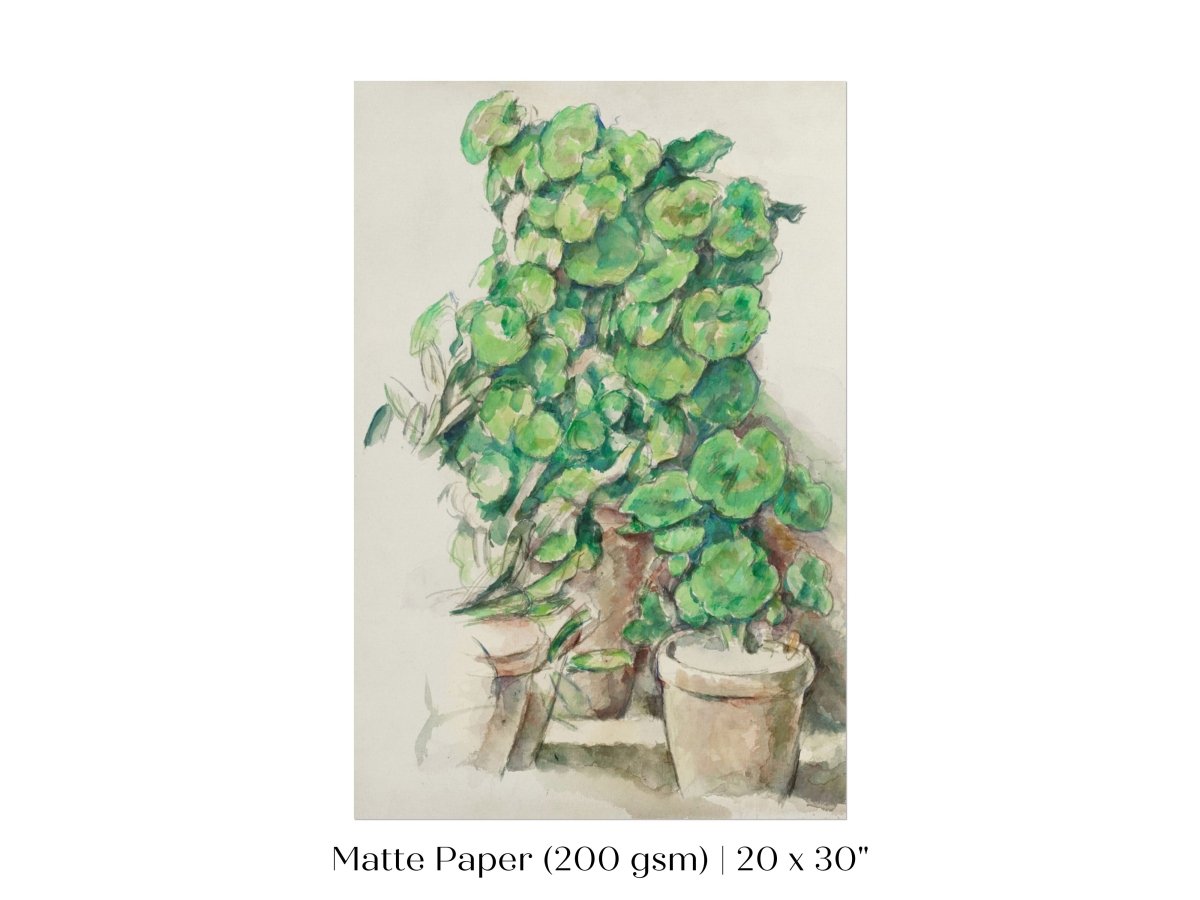 Geraniums | P176 - Single Art Prints - Piccolo Fiore Prints