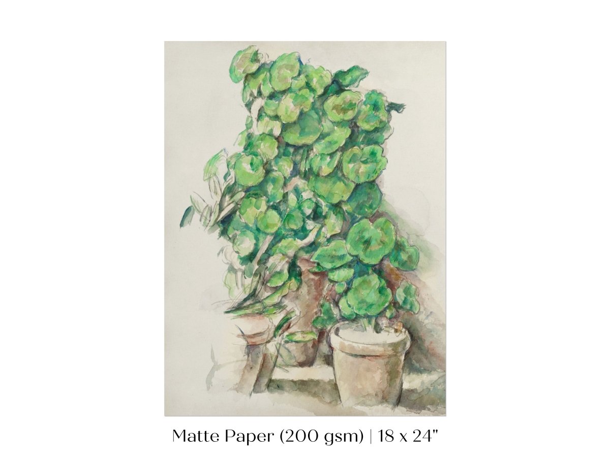 Geraniums | P176 - Single Art Prints - Piccolo Fiore Prints