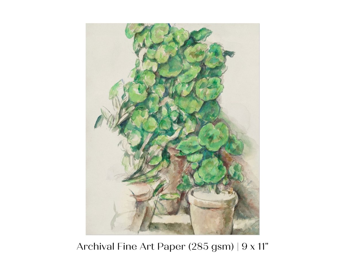 Geraniums | P176 - Single Art Prints - Piccolo Fiore Prints