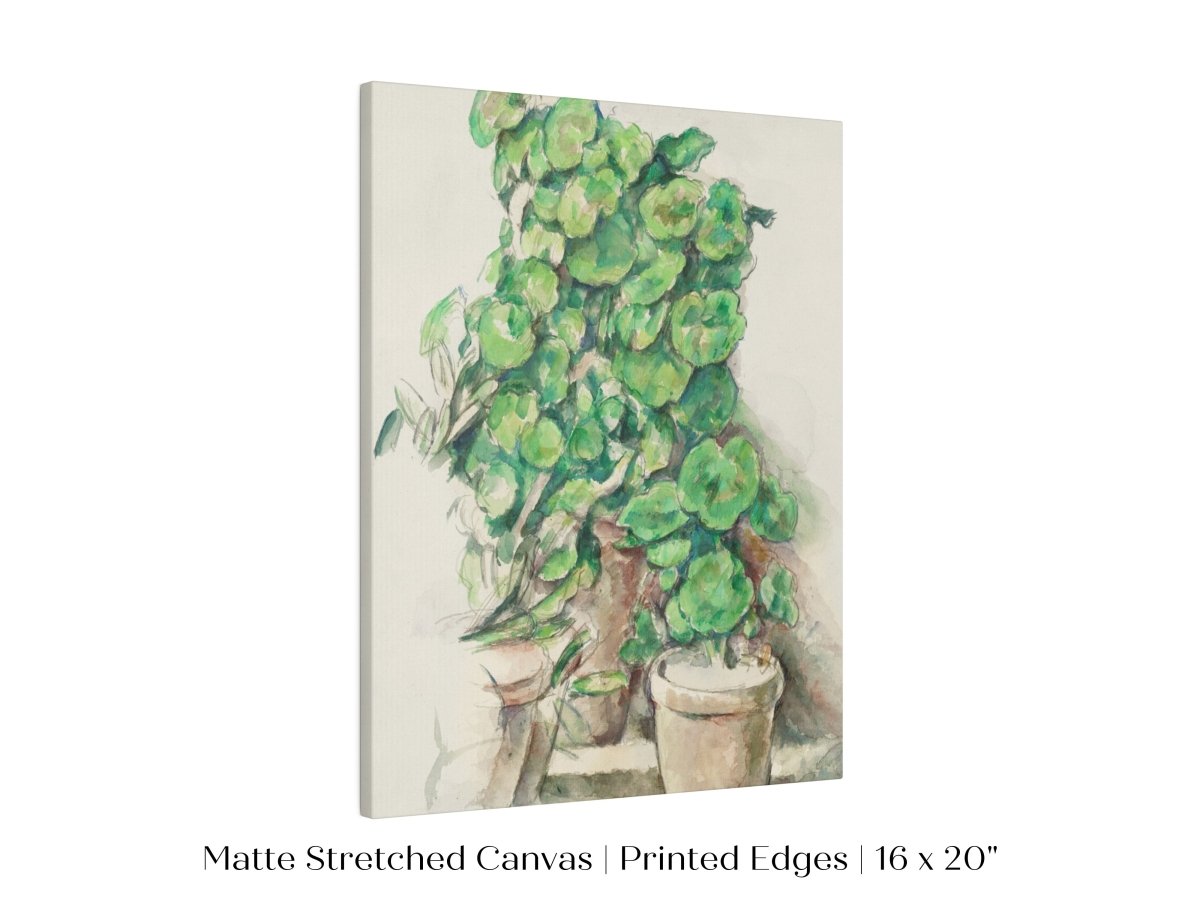 Geraniums | P176 - Single Art Prints - Piccolo Fiore Prints