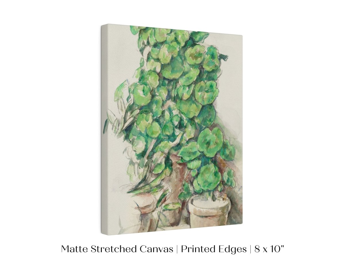 Geraniums | P176 - Single Art Prints - Piccolo Fiore Prints