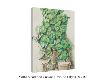 Geraniums | P176 - Single Art Prints - Piccolo Fiore Prints