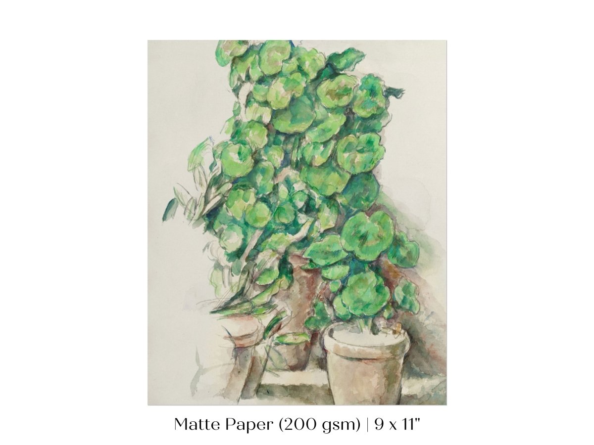 Geraniums | P176 - Single Art Prints - Piccolo Fiore Prints