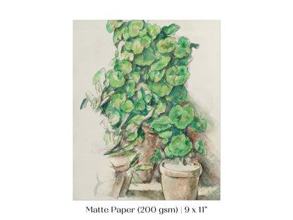 Geraniums | P176 - Single Art Prints - Piccolo Fiore Prints