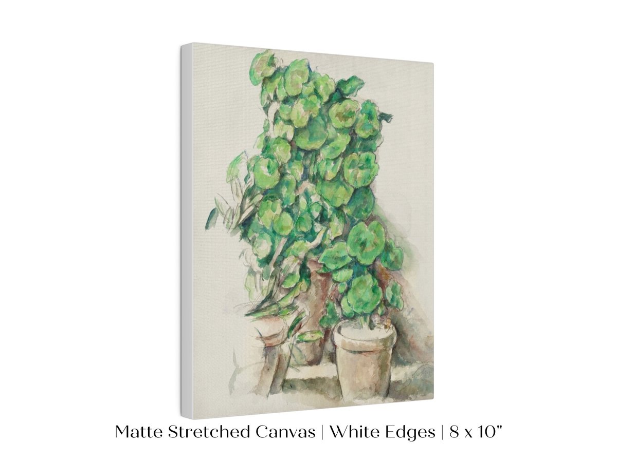 Geraniums | P176 - Single Art Prints - Piccolo Fiore Prints