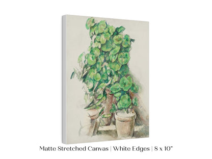 Geraniums | P176 - Single Art Prints - Piccolo Fiore Prints