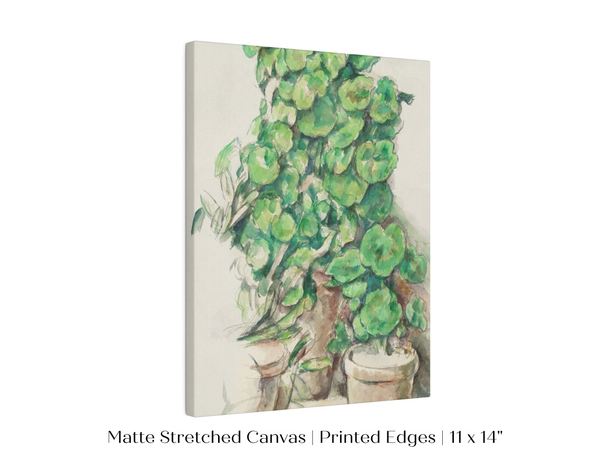 Geraniums | P176 - Single Art Prints - Piccolo Fiore Prints