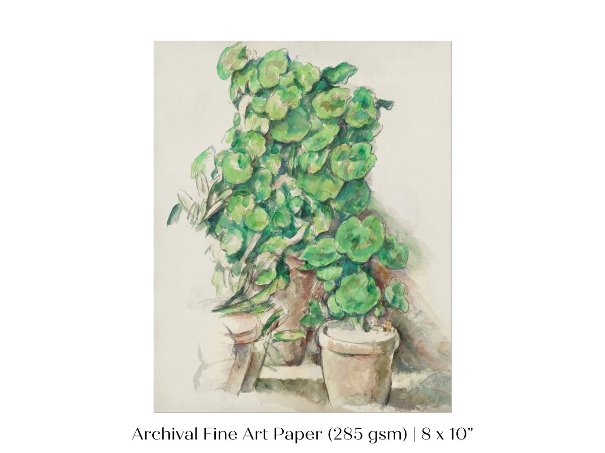 Geraniums | P176 - Single Art Prints - Piccolo Fiore Prints