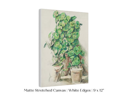 Geraniums | P176 - Single Art Prints - Piccolo Fiore Prints