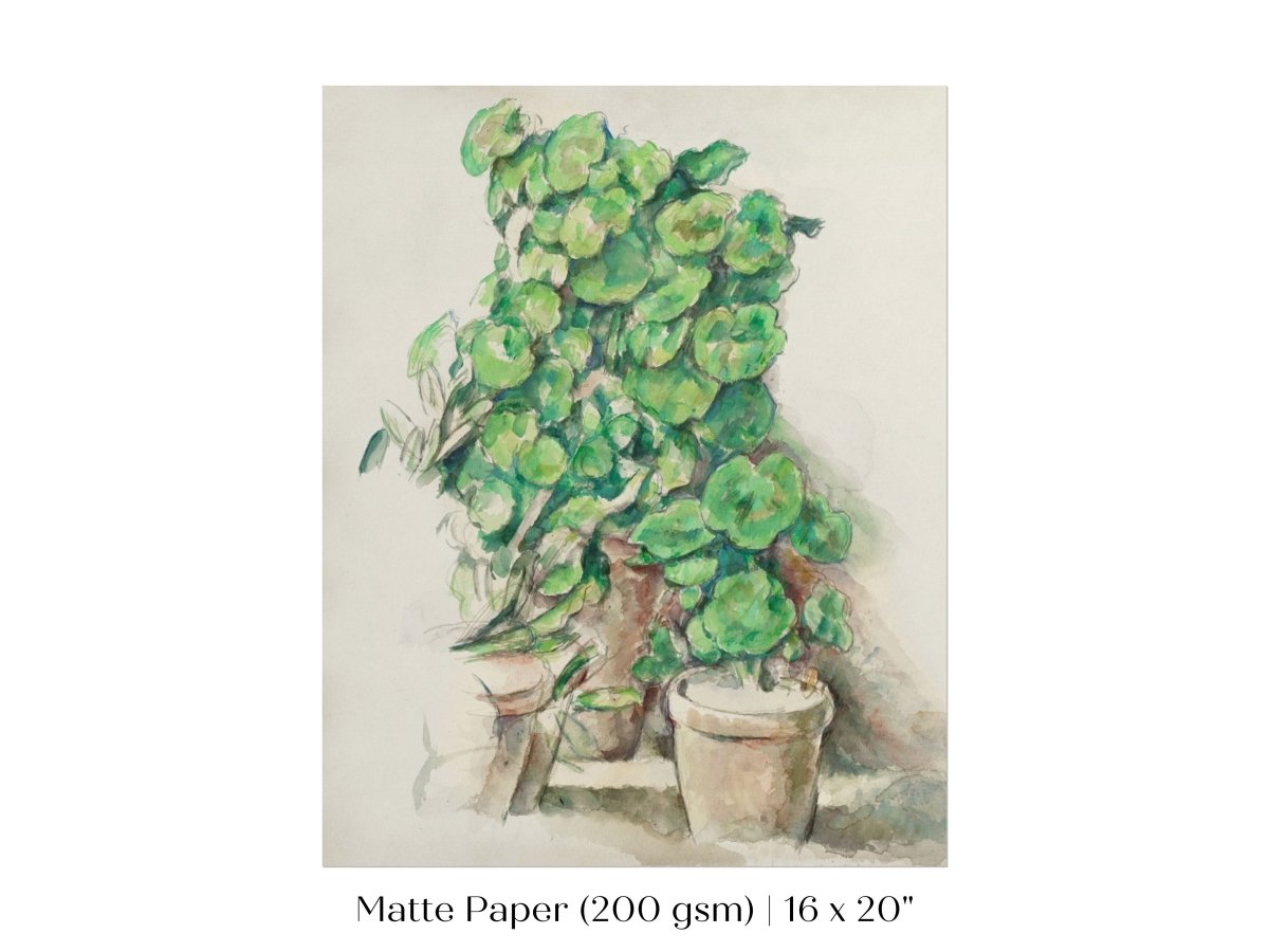 Geraniums | P176 - Single Art Prints - Piccolo Fiore Prints