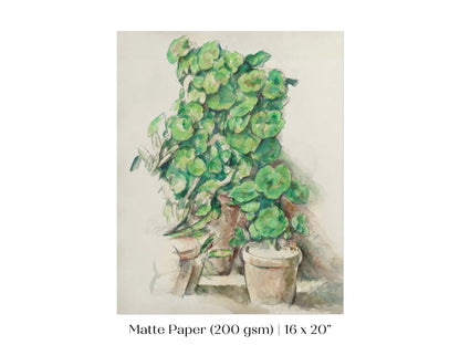 Geraniums | P176 - Single Art Prints - Piccolo Fiore Prints