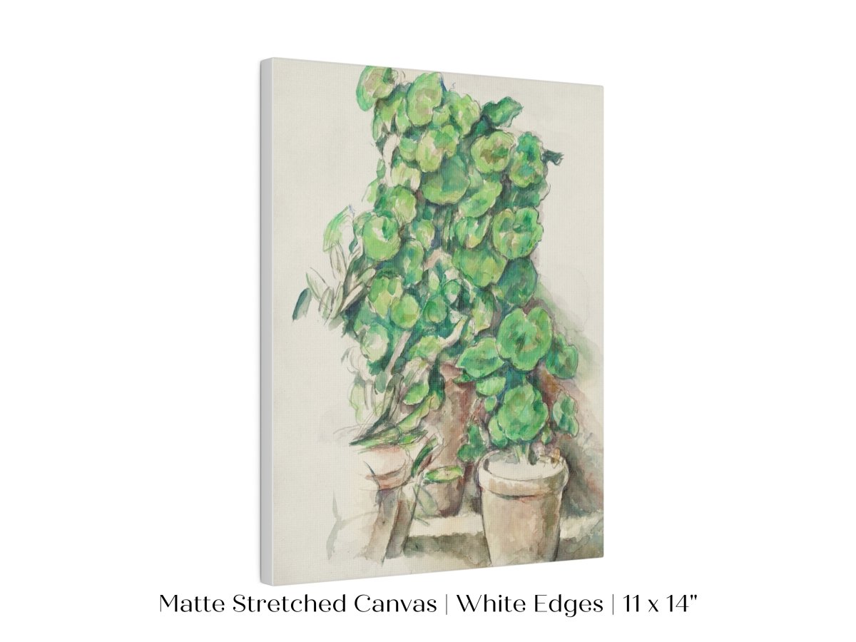 Geraniums | P176 - Single Art Prints - Piccolo Fiore Prints
