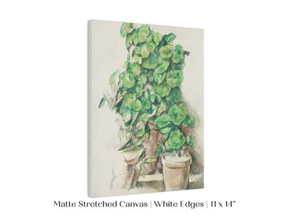 Geraniums | P176 - Single Art Prints - Piccolo Fiore Prints