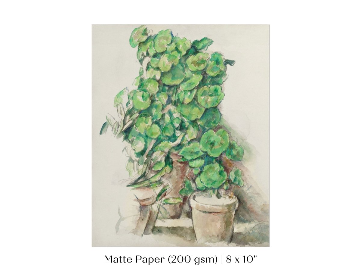 Geraniums | P176 - Single Art Prints - Piccolo Fiore Prints