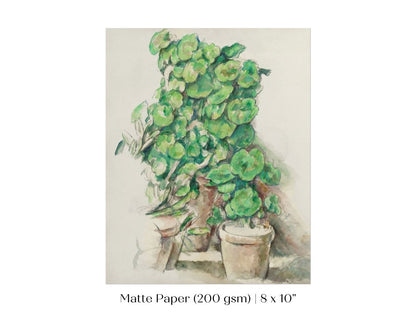 Geraniums | P176 - Single Art Prints - Piccolo Fiore Prints