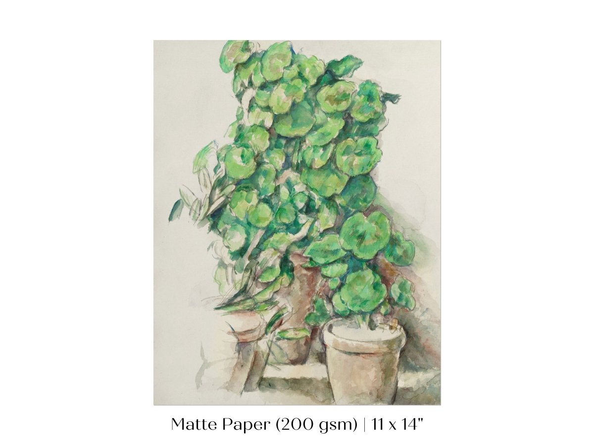 Geraniums | P176 - Single Art Prints - Piccolo Fiore Prints