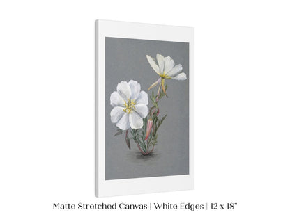 Giant Helleborine | P67 - Single Art Prints - Piccolo Fiore Prints