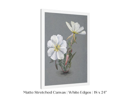 Giant Helleborine | P67 - Single Art Prints - Piccolo Fiore Prints