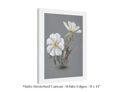 Giant Helleborine | P67 - Single Art Prints - Piccolo Fiore Prints