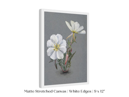 Giant Helleborine | P67 - Single Art Prints - Piccolo Fiore Prints