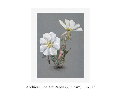 Giant Helleborine | P67 - Single Art Prints - Piccolo Fiore Prints