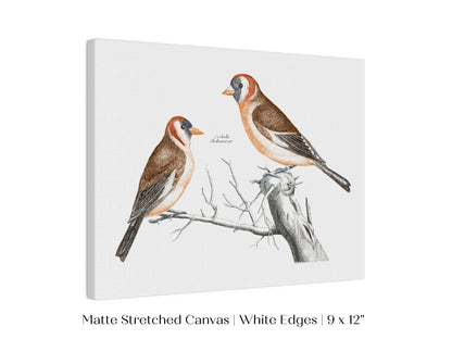 Goldfinches Illustration | P78 - Single Art Prints - Piccolo Fiore Prints