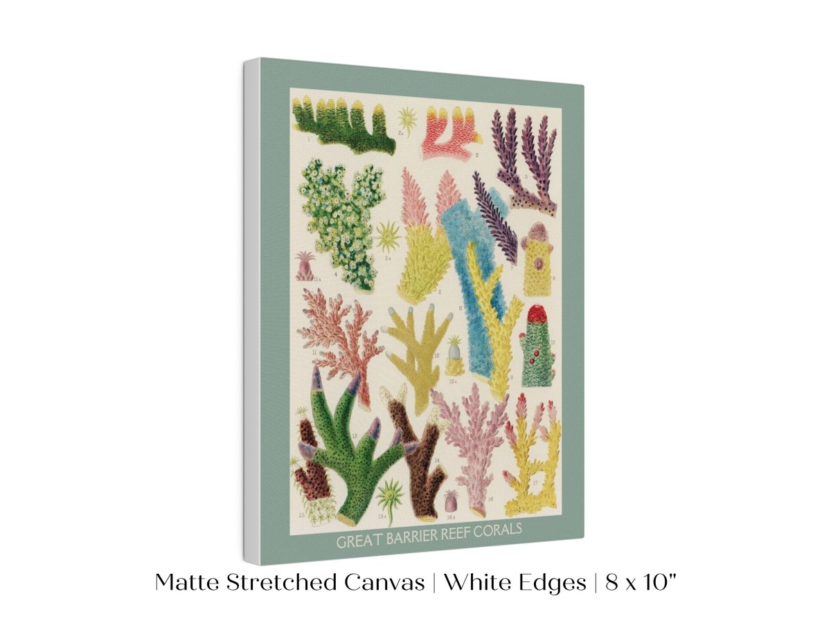 Great Barrier Reef Coral | Printed and Shipped | P501 - Portrait Single Art Prints - Piccolo Fiore Prints