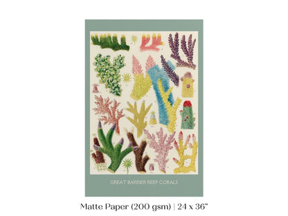 Great Barrier Reef Coral | Printed and Shipped | P501 - Portrait Single Art Prints - Piccolo Fiore Prints
