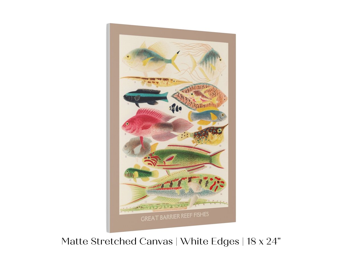 Great Barrier Reef Fish | P553 - Single Art Prints - Piccolo Fiore Prints