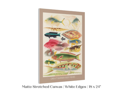 Great Barrier Reef Fish | P553 - Single Art Prints - Piccolo Fiore Prints