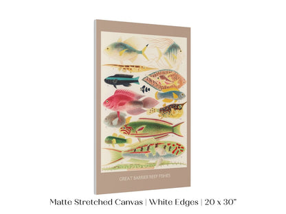 Great Barrier Reef Fish | P553 - Single Art Prints - Piccolo Fiore Prints