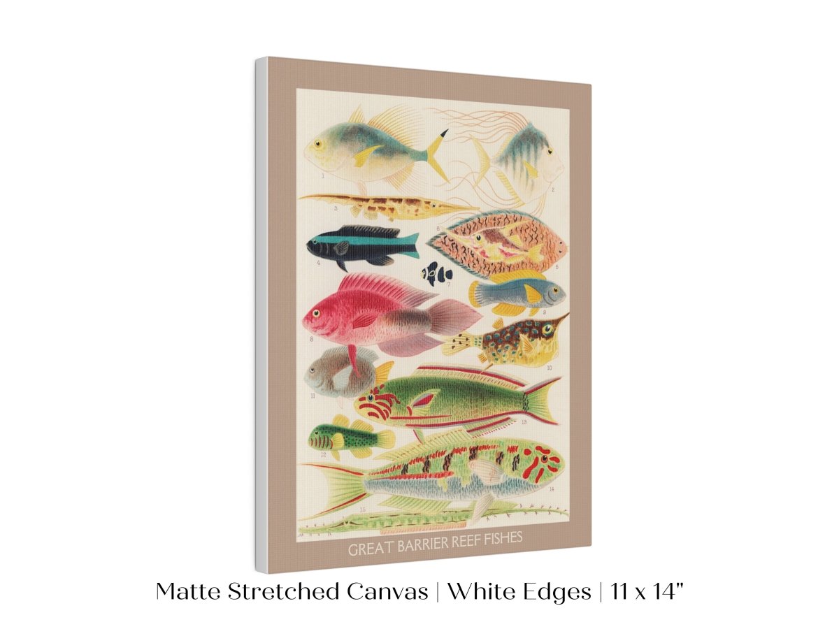 Great Barrier Reef Fish | P553 - Single Art Prints - Piccolo Fiore Prints