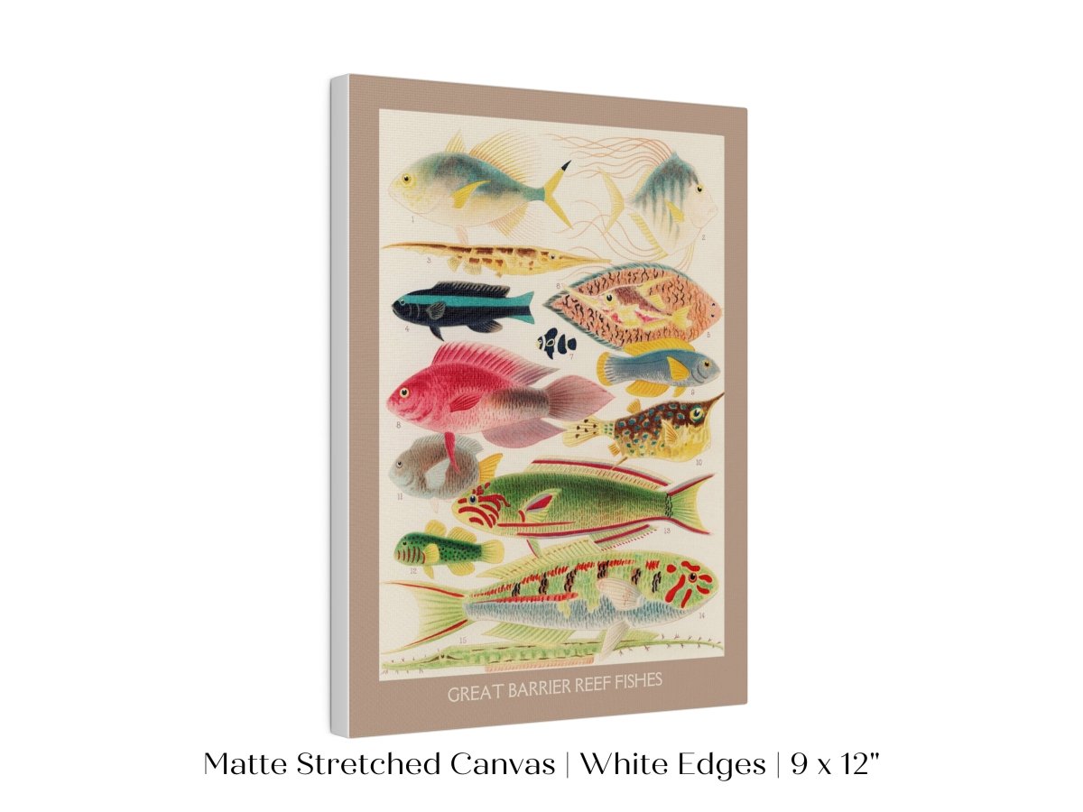 Great Barrier Reef Fish | P553 - Single Art Prints - Piccolo Fiore Prints