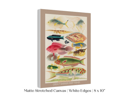 Great Barrier Reef Fish | P553 - Single Art Prints - Piccolo Fiore Prints