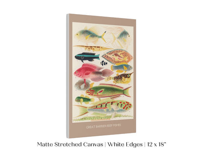 Great Barrier Reef Fish | P553 - Single Art Prints - Piccolo Fiore Prints