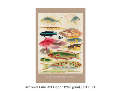 Great Barrier Reef Fish | P553 - Single Art Prints - Piccolo Fiore Prints