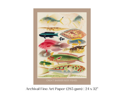 Great Barrier Reef Fish | P553 - Single Art Prints - Piccolo Fiore Prints