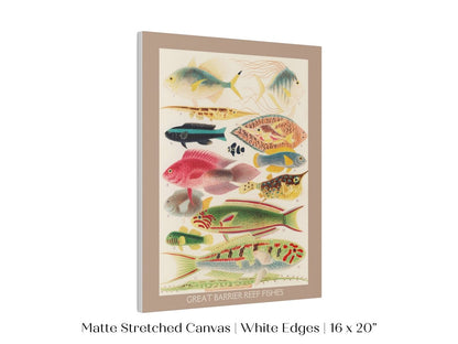 Great Barrier Reef Fish | P553 - Single Art Prints - Piccolo Fiore Prints