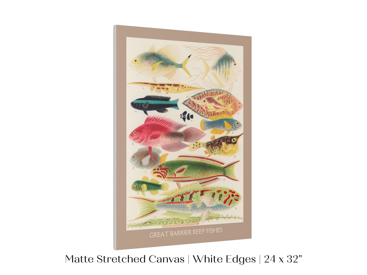 Great Barrier Reef Fish | P553 - Single Art Prints - Piccolo Fiore Prints