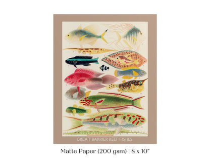 Great Barrier Reef Fish | P553 - Single Art Prints - Piccolo Fiore Prints