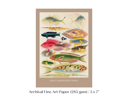 Great Barrier Reef Fish | P553 - Single Art Prints - Piccolo Fiore Prints