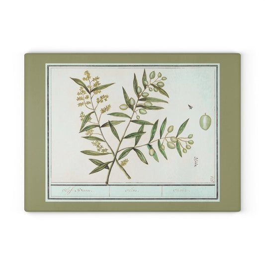 Green Olives | Glass Chopping Board - Glass Chopping Board - Piccolo Fiore Prints