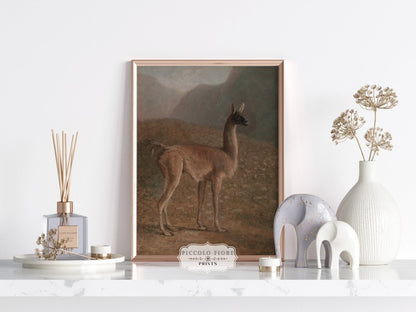 Guanaco Llama | P408 - Single Art Prints - Piccolo Fiore Prints