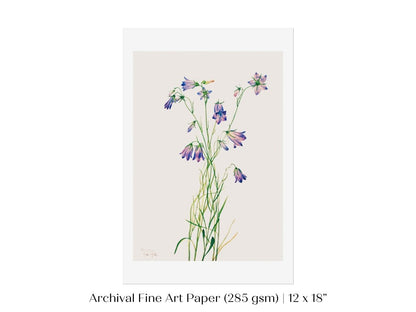 Harebell Illustration | P277 - Single Art Prints - Piccolo Fiore Prints