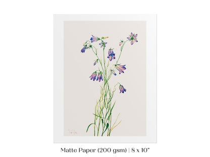 Harebell Illustration | P277 - Single Art Prints - Piccolo Fiore Prints